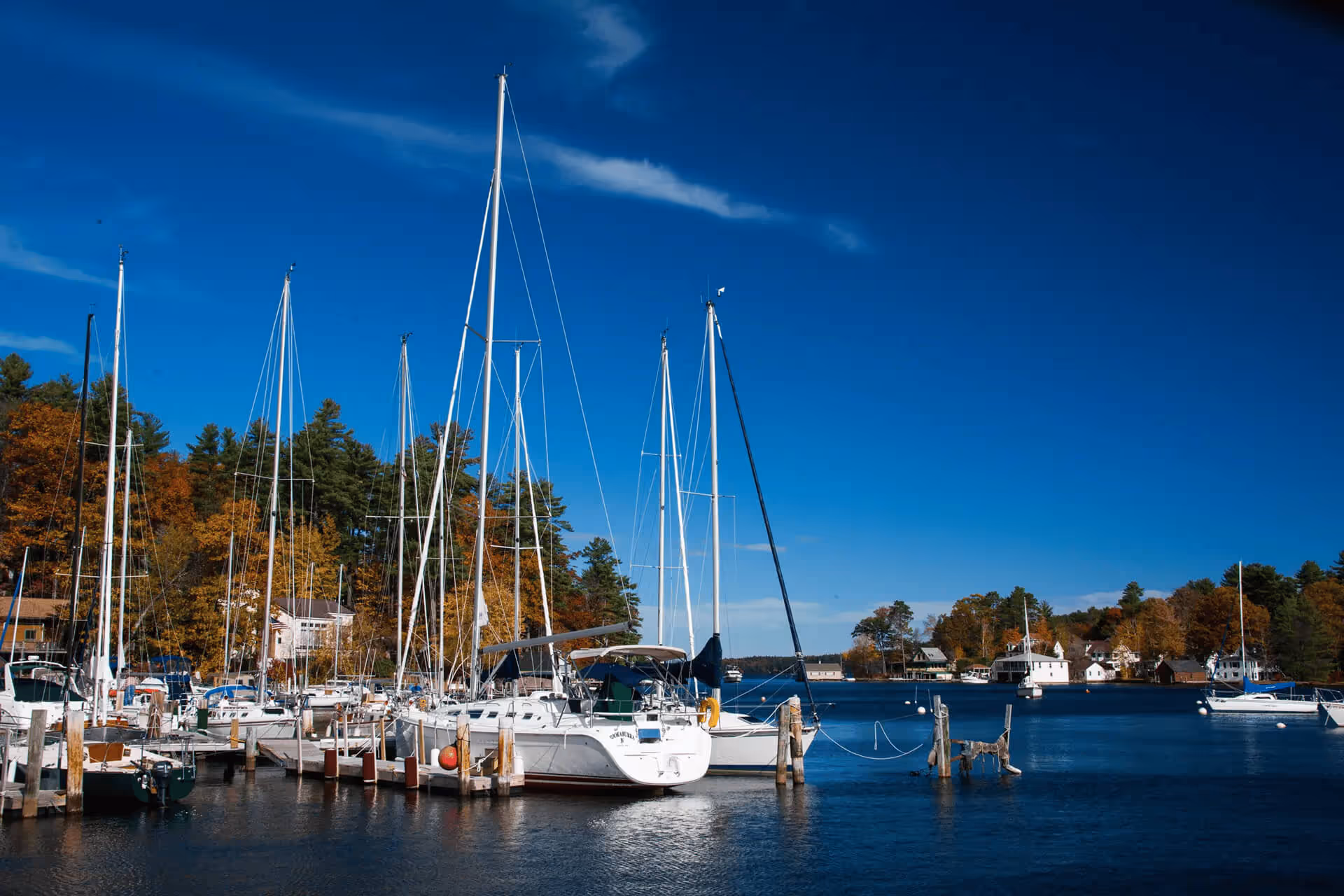 Sailboats docked in a marina on a clear day with autumn foliage in the background