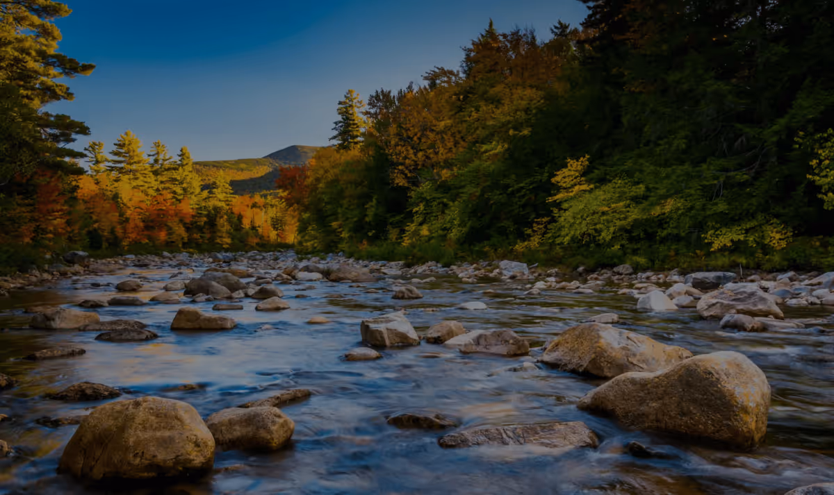 Rocky river flowing through a lush forest during autumn