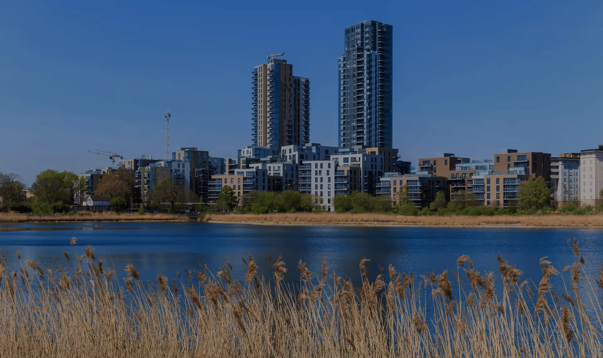 Modern high-rise apartment buildings overlooking a blue lake with tall grass in the foreground