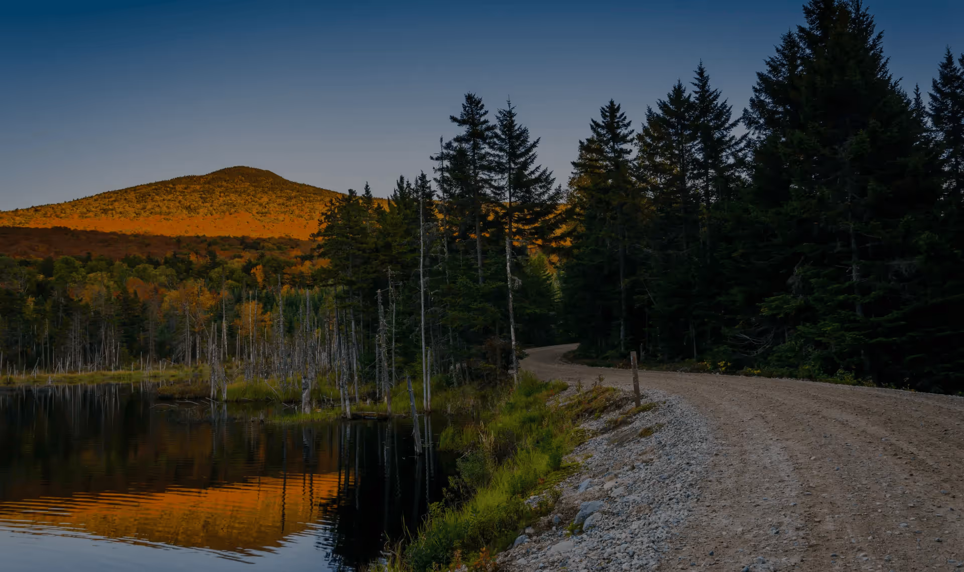Gravel road winding past a calm lake and pine forest at sunset